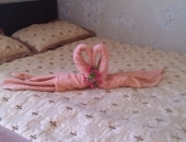      : ..,  -,  .        60   .      , , 2-   170 ..,  ,   ,  -  ,     
